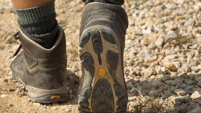 “Seminiamo semi di pace” per la Cura del Creato:  a Busto Arsizio una camminata per promuovere il volontariato