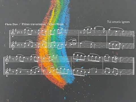 A Lecco Veglia musicale per la giornata del povero con il Coro Fermenti di Pace