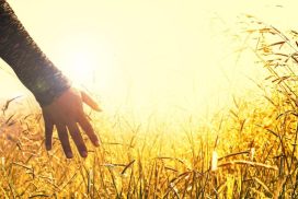 Giornata della pace: «Quale economia come via di pace?»