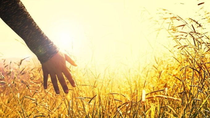 Giornata della pace: «Quale economia come via di pace?»