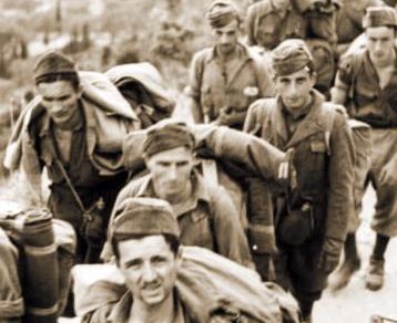 MilImg_193_916312_2272988_20260122093859_2