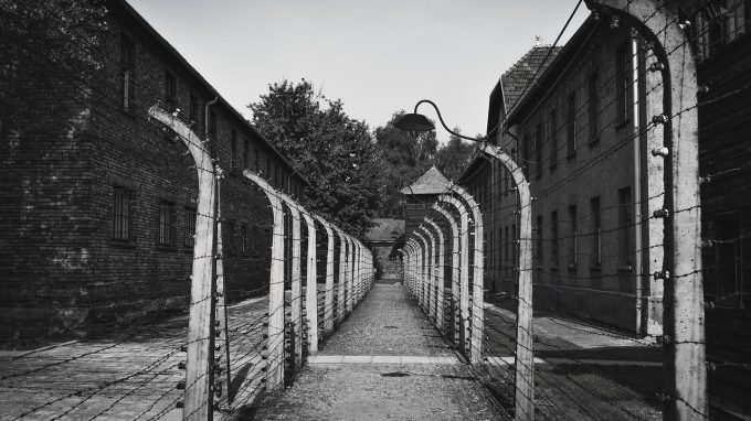 Rho celebra il Giorno della Memoria con un intenso calendario di eventi