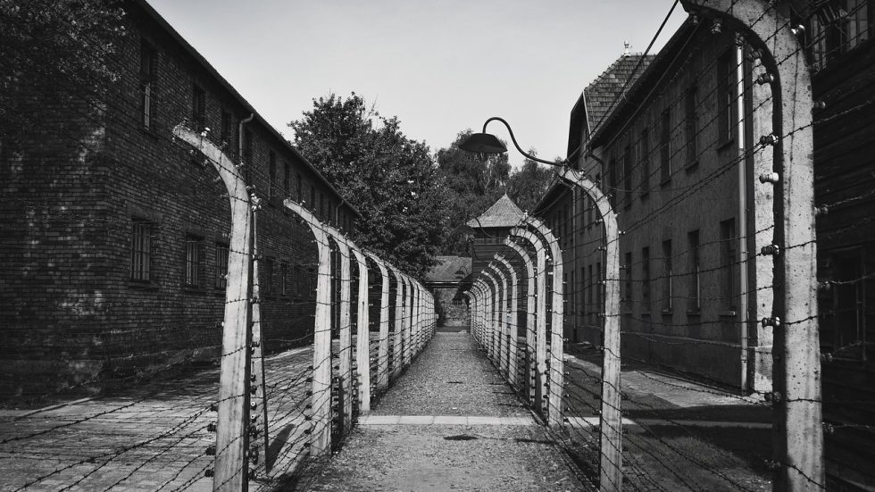 Rho celebra il Giorno della Memoria con un intenso calendario di eventi