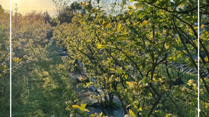 Fagnano Olona, Messa per la Festa della Terra alla Valle di Ezechiele
