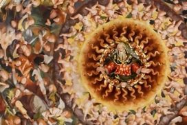 Triduo e Festa della Misericordia, al Santuario di Saronno