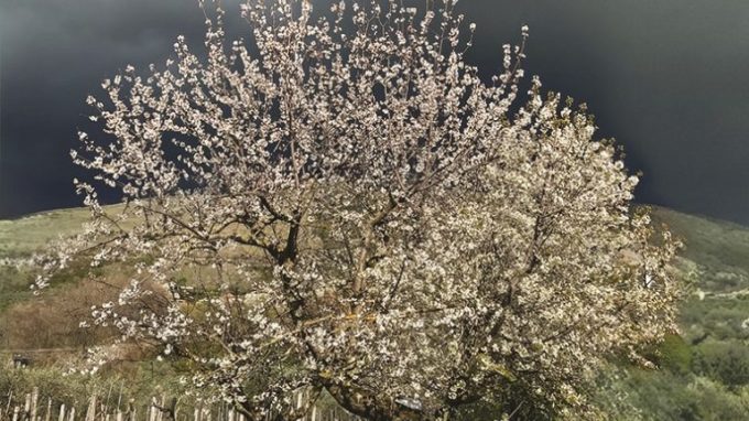 Martiri missionari, «Gente di Primavera»