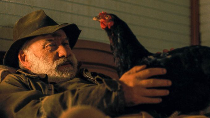 Hen – Storia di una gallina, un film che riflette la crudeltà dell’uomo