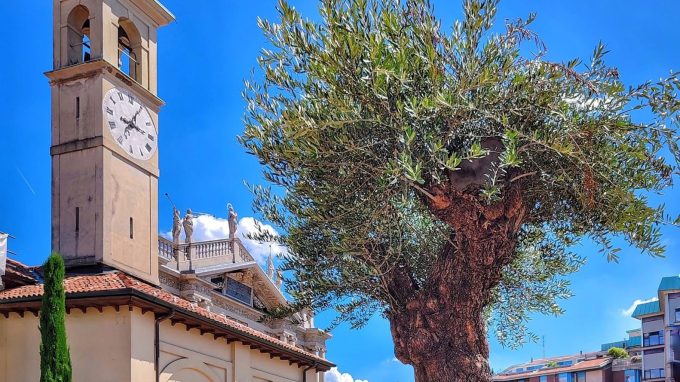 In preghiera per la vita e per i nonni a Saronno, nella festa di sant’Anna