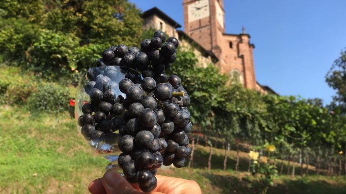 A Castiglione Olona il vino buono che fa del bene